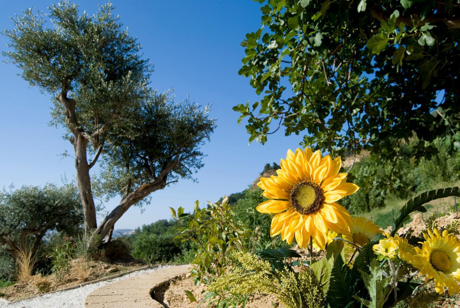 Villa Agriturismo Il Falco SantʼElpidio a Mare Exterior foto