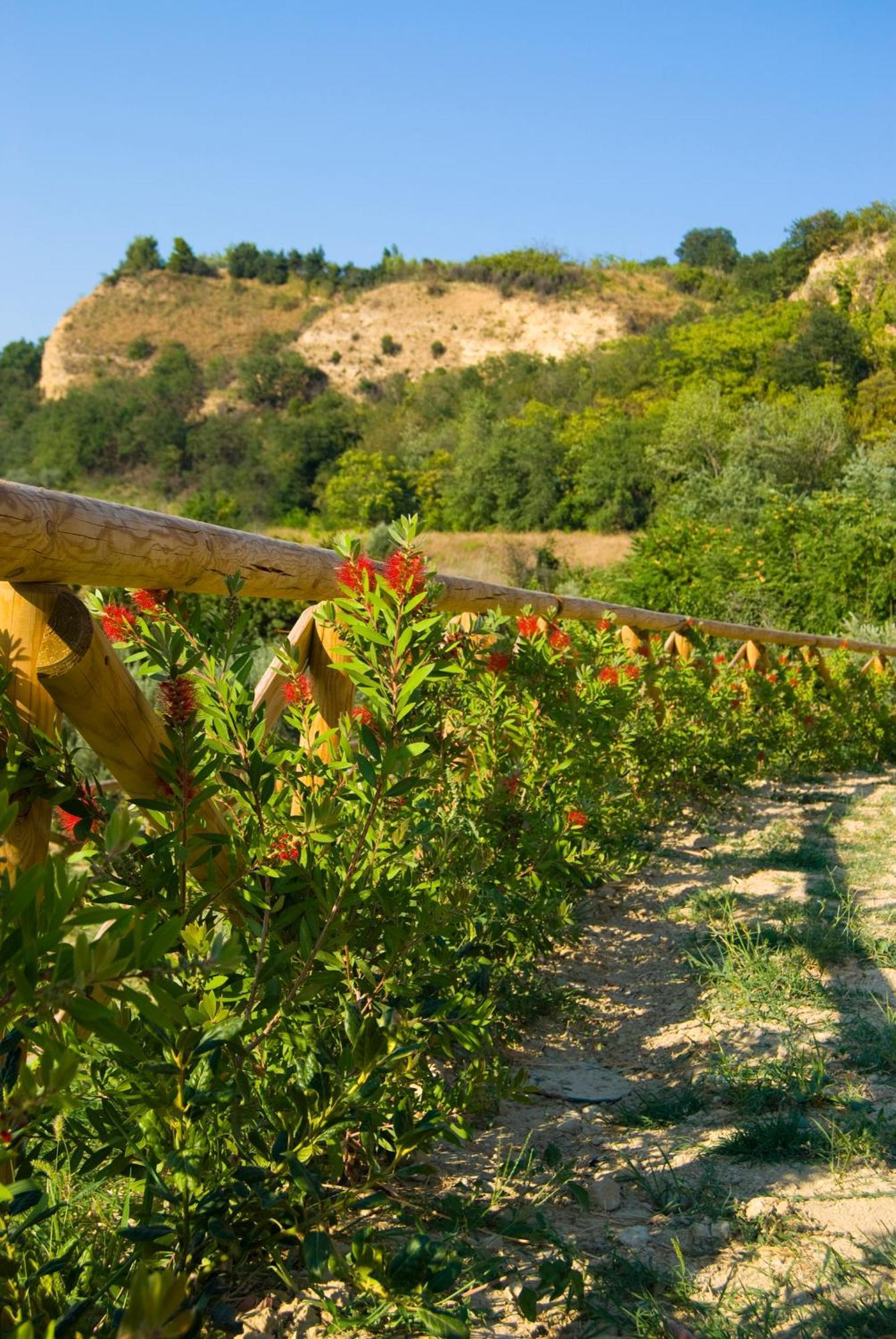 Villa Agriturismo Il Falco SantʼElpidio a Mare Exterior foto