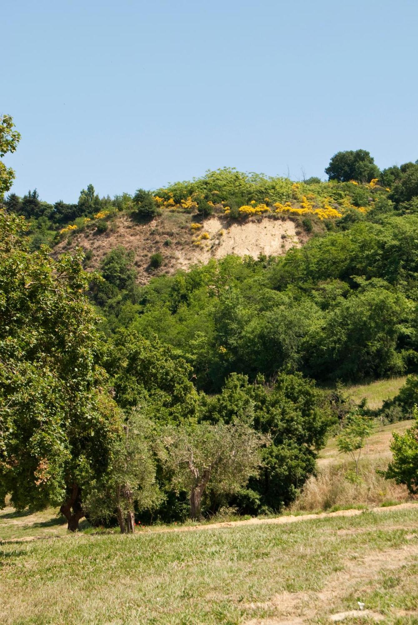 Villa Agriturismo Il Falco SantʼElpidio a Mare Exterior foto